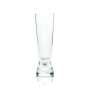 6x Warsteiner beer glass 0.25l goblet tulip glasses gastro bar pub pilsner