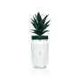 6x Malibu liqueur glass 0.4l plastic pineapple glasses with lid palm tree cups reusable