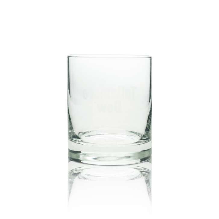 6x Tullamore Dew whiskey glass 0.37l tumbler long drink glasses gauged gastro bar