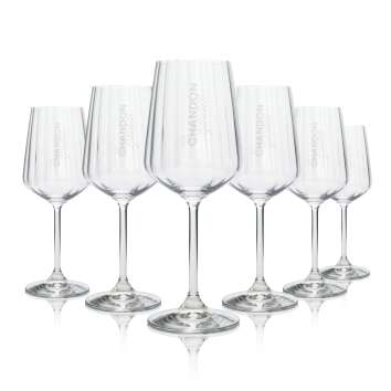 Chandon Garden Spritz Aperitif Glass 0,38l Wine Spiegelau...