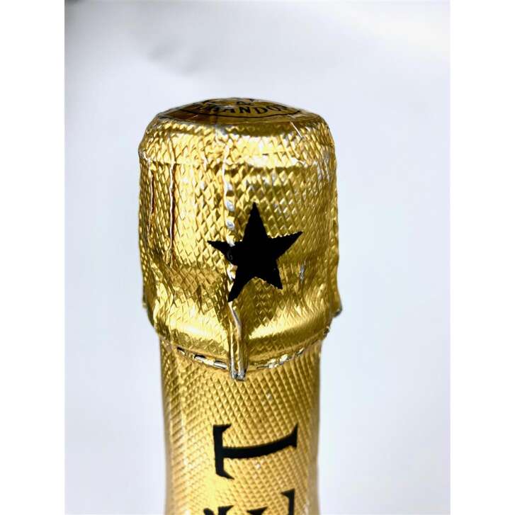 1x Moët & Chandon Champagne Show Bottle 3L Brut