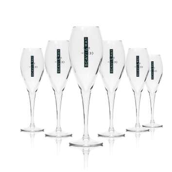 6x Scavi & Ray champagne glass flute thin glass