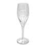 1x Dom Perignon Champagne glass flute Riedel