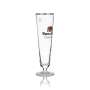 6x Thurn und Taxis glass 0.3l tulip beer glasses with gold rim, brewery set