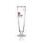 6x Thurn und Taxis glass 0.3l tulip beer glasses with gold rim, brewery set