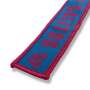 1x Salitos beer key ring pink blue fabric strap