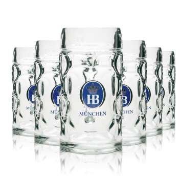 6x Hofbräu Munich beer glass 0,5l mug Isar-Seidel
