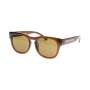 1x Southern Comfort Whiskey Sunglasses Brown Brown Lens