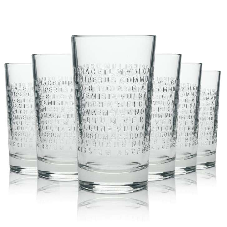 6x Botanist Glass 0,36l Gin-Tonic Longdrink Cocktail Fizz Contour Glasses Islay UK