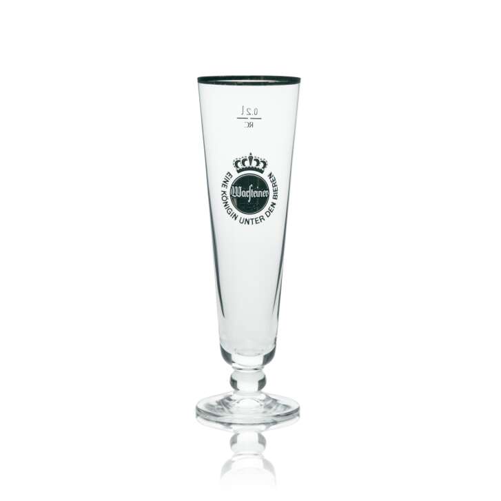 6x Warsteiner Beer Glass Exclusive Tulip with Gold Rim 200ml