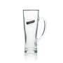 6x Duckstein beer glass 0.5l jug Aspen Sahm