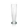 6x Dithmarscher beer glass 0,3l tulip white writing Rastal