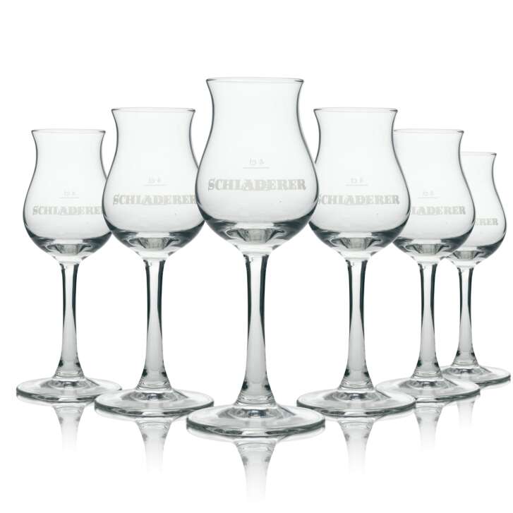 6x Schladerer schnapps glass goblet 2/4cl