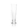 6x Hohenfeld beer glass goblet white writing 0,3l