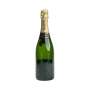 Moet Chandon Champagne Show Bottle EMPTY Decoration Nectar Imperial 0,7l Display Dummy