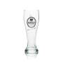 6x Riegele beer glass 0,5l wheat beer glasses Hefe Weizen Augsburg brewery Beer Bar