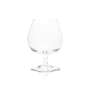 6x Remy Martin cognac glass whisky glasses Nosing Tasting Sommelier