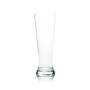 6x Landskron beer glass goblet 0,5l Rastal tulip glasses goblet relief print Pils