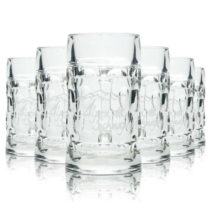 6x Alpenschnaps Steinbeisser glass Mini Masskrug 4cl schnapps short shot glasses Stamper