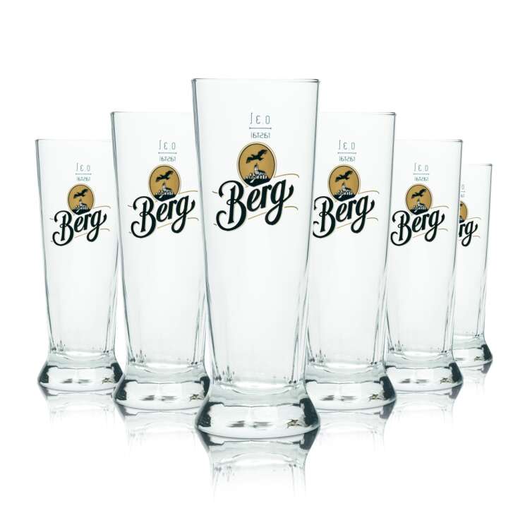 6x Berg Brewery Beer Glass 0,3l Mug Trapez Rastal Pils Glasses Tulip Cup Bar