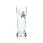 6x Berg Brewery Beer Glass 0,3l Mug Trapez Rastal Pils Glasses Tulip Cup Bar