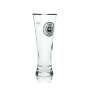 6x Warsteiner beer glass 0,3l non-alcoholic goblet glasses pilsner tumbler tulip mug