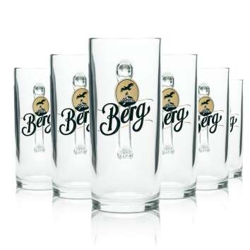 6x Berg Brauerei beer glass 0,5l jug Sahm Seidel handle...