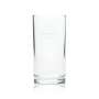 12x Burkhardt juice glass 0,2l tumbler Rastal Gastro glasses hotel bar tumbler juices