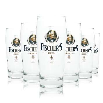 6x Fischers Beer Glass 0,5l Mug Bright Sahm Willi Glasses...