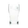 6x Wychwood Beer Glass 0,3l Mug 1/2 Pint Craftbeer Glasses England Willi Cup