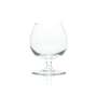 Ron Malecon rum glass 0.25l nosing glasses tumbler tasting goblet bar