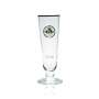 6x Warsteiner beer glass 0.1l tulip gold rim glasses flute goblet Stielgas brewery