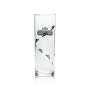 6 Damoiseau Rum glass 0,25l longdrink glass "Tubo" new