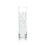 6 Valt whiskey glass 0.3l long drink glass "Sinus" new