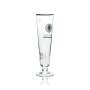 6x Warsteiner Beer Glass 0,3l Exclusive Tulip Non-alcoholic Glasses Pils Pokal Gastro