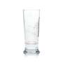 6x Kingfisher Beer Glass Half Pint 0,25l Goblet Tulip Glasses India Beer IPA