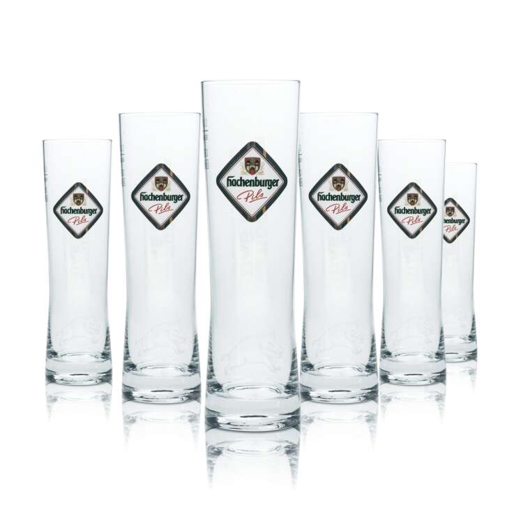 6x Hachenburger Beer Glass 0,3l Mug Cup Goblet Glasses Gastro Bar Pils Beer