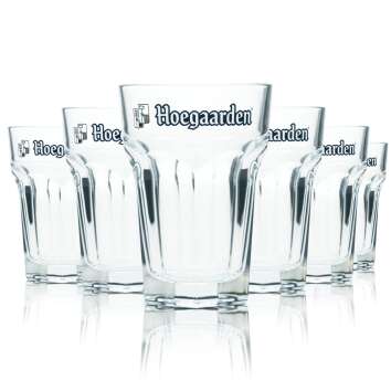 6x Hoegaarden Beer Glass 0,25l Mug Goblet Glasses Gastro...