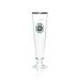 12x Warsteiner beer glass 0,25l goblet tulip gold rim glasses brewery Gastro Pils